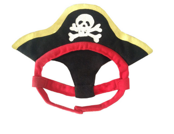Teddy Pirate Transformed Into Pet Costume