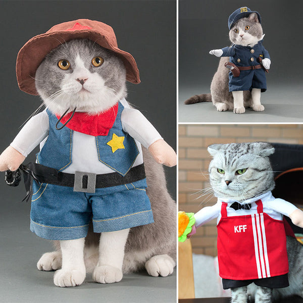 Spring and autumn pet cat costume