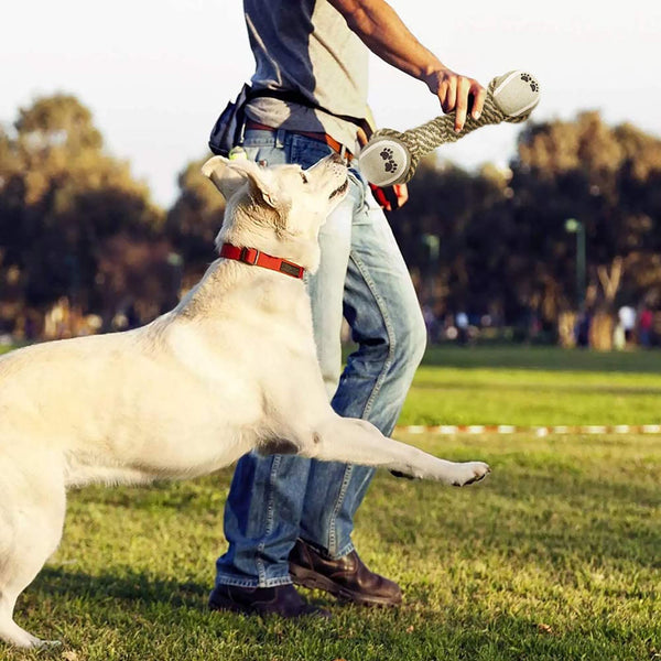 Cotton Rope Dog Toy for Aggressive Chewers - Chew Toys