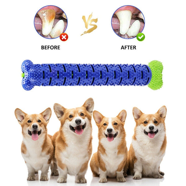 Dog Chew Toys Toothbrush - Bone Shaped Dog Dental Toy