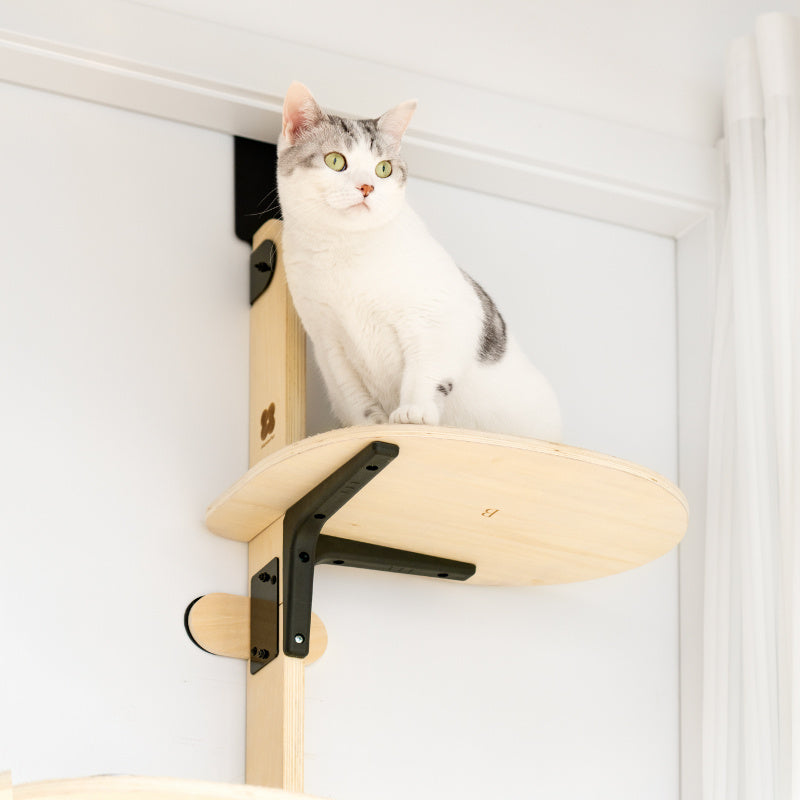 MewooFun 4-Step Wall Mounted Cat Shelves - Cat Perches