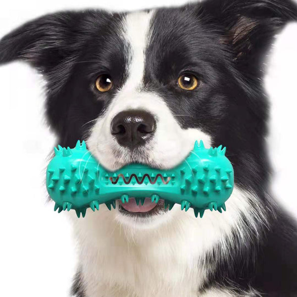 Non-toxic Dog Chew Toys with Spikes - Spiky Ball Toy