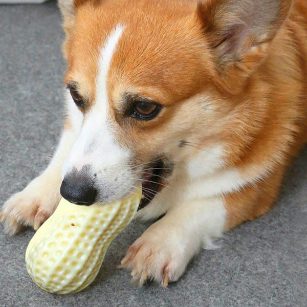 Peanut Shaped Dog Chew Toys - Squeaky Toy for Dogs