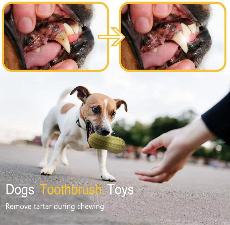 Peanut Shaped Dog Chew Toys - Squeaky Toy for Dogs