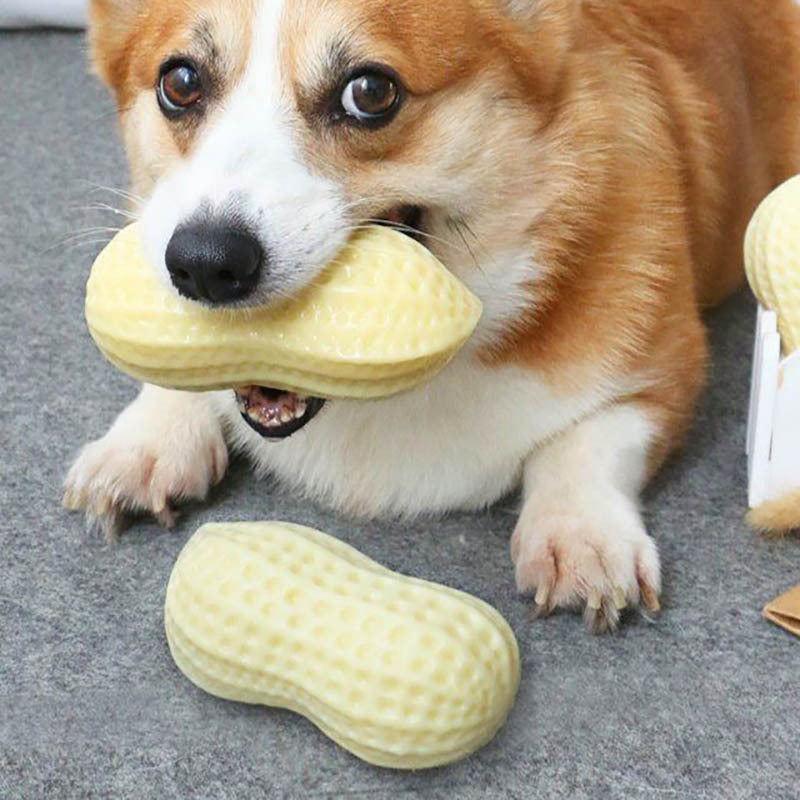 Peanut Shaped Dog Chew Toys - Squeaky Toy for Dogs