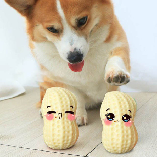 Peanut Shaped Dog Chew Toys - Squeaky Toy for Dogs
