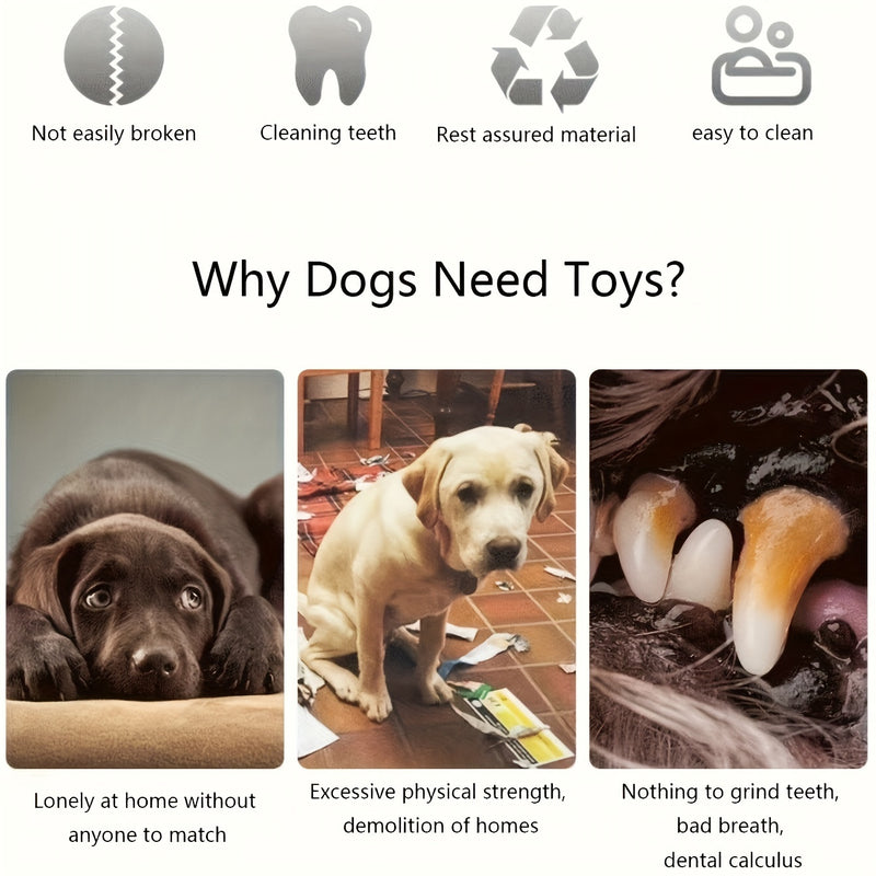 Soft Squeaky Plush Toys for Dogs - Chew Toys for Puppies