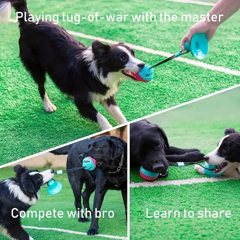 Suction Cup Dog Toy for Aggressive Chewers - Pet Chew Toys