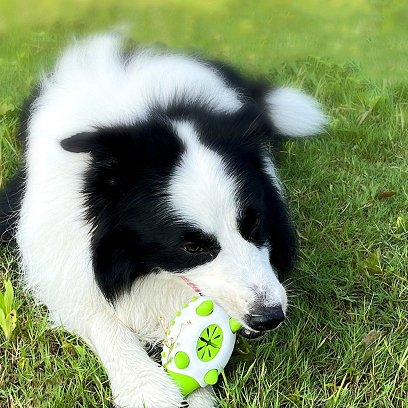 Dog Treat Dispenser Toy with Spikes - Pet Chew Toys