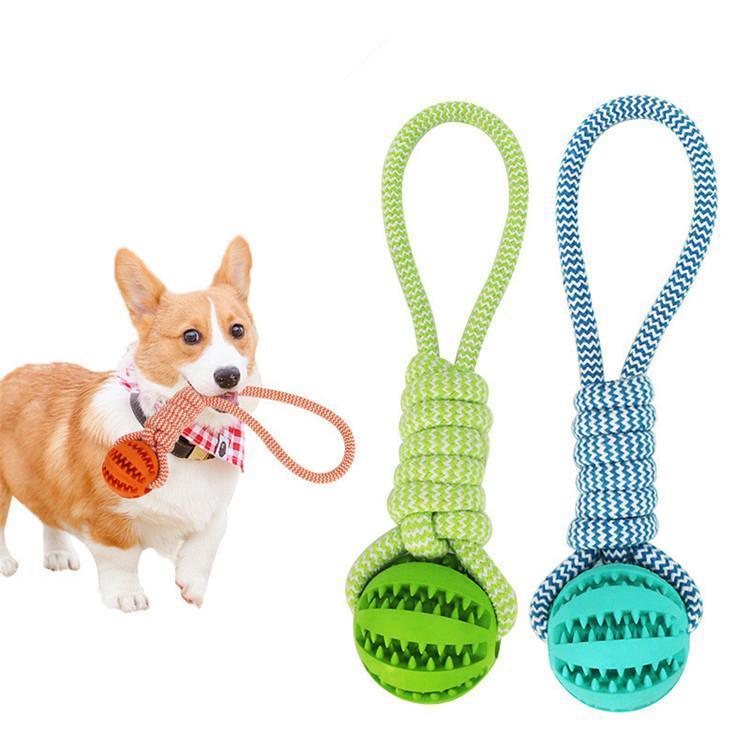 Durable Rubber Chew Toy with Cotton Rope for Dogs - Bingo Binky