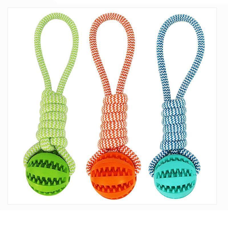 Durable Rubber Chew Toy with Cotton Rope for Dogs - Bingo Binky