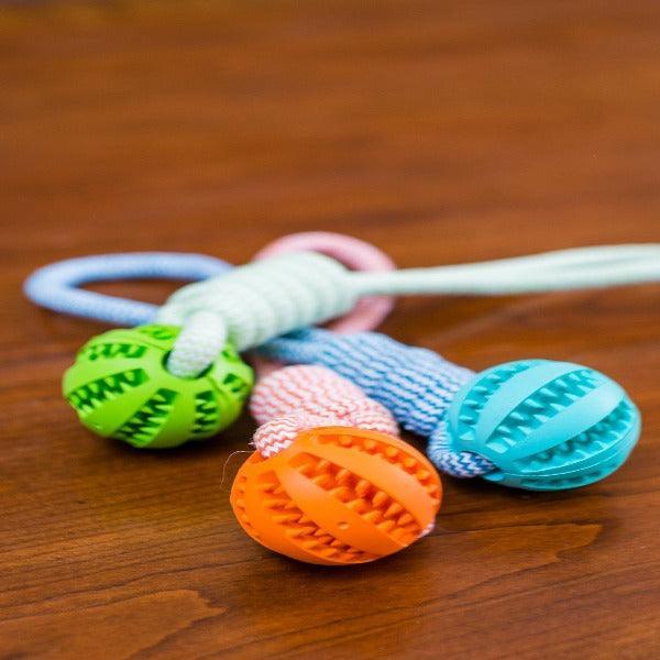 Durable Rubber Chew Toy with Cotton Rope for Dogs - Bingo Binky
